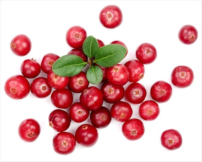 Cranberries 250g Pack 