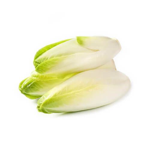 Endives 500g Pack 