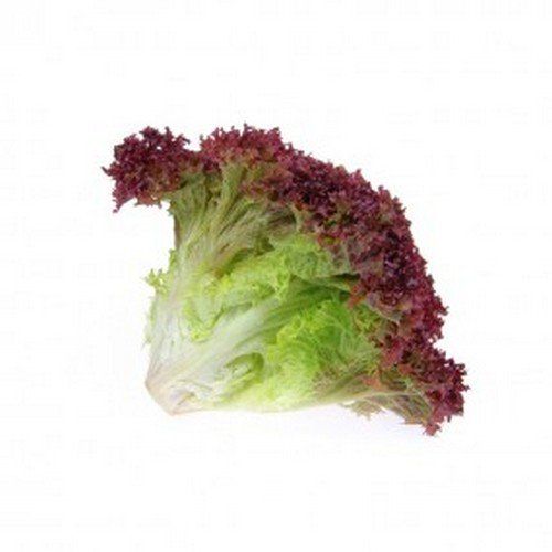 Lettuce Lollo Rosso Head