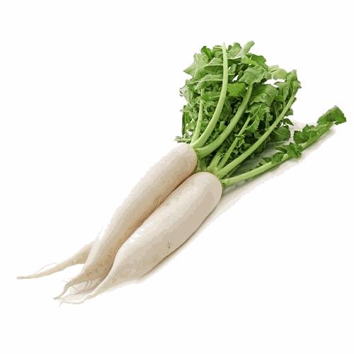 Radish White kg