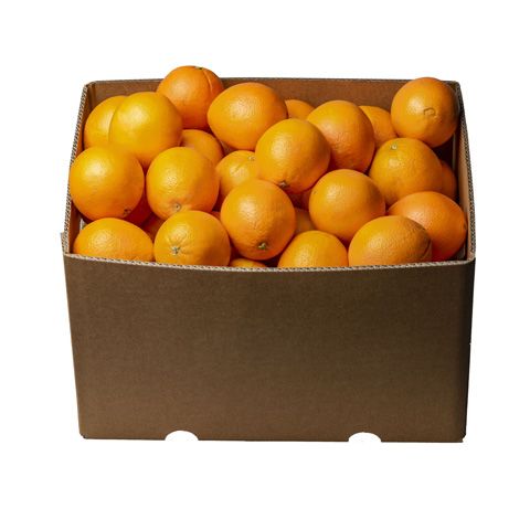 Orange imp box