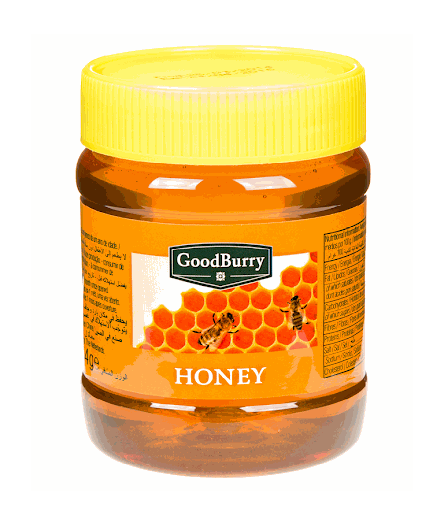 GoodBurry Honey 454ml