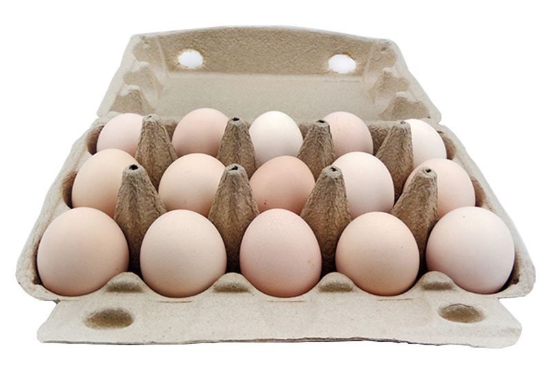 Nutresa Eggs 15 pack  
