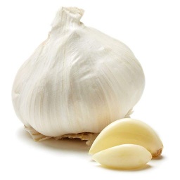 Garlic/kg