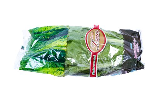 Lettuce Romaine 