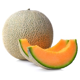 Melon Cantaloupe /Kg