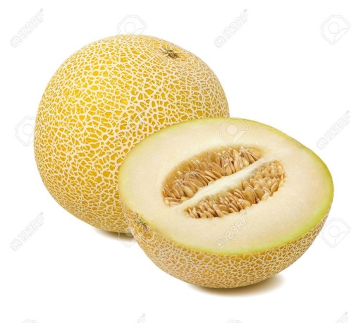 Galia Melon /Kg