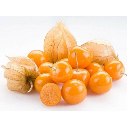 Physalis 100g Pack