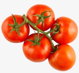 Tomato Vine LS/kg