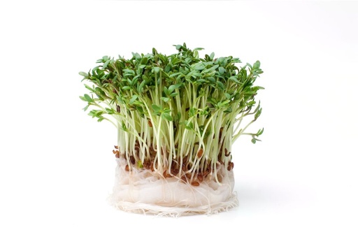 Cress Garden pack
